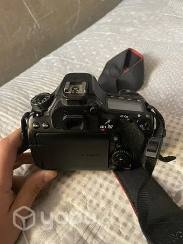 Eos 80d canon cámara