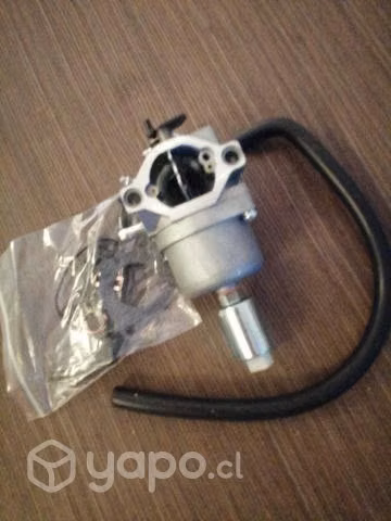 Carburador Briggs & Stratton