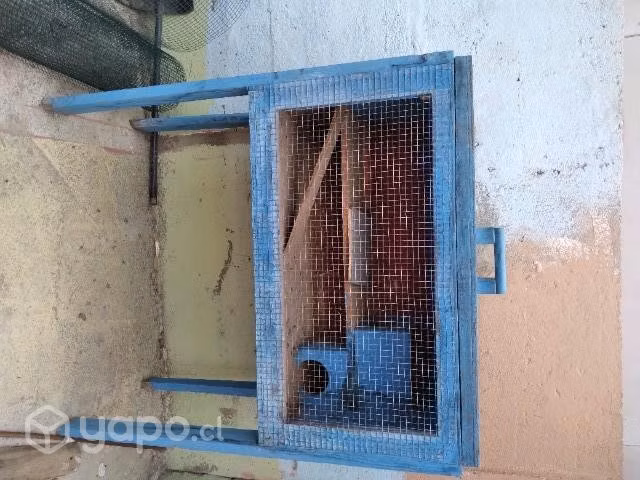Jaula para cuyes