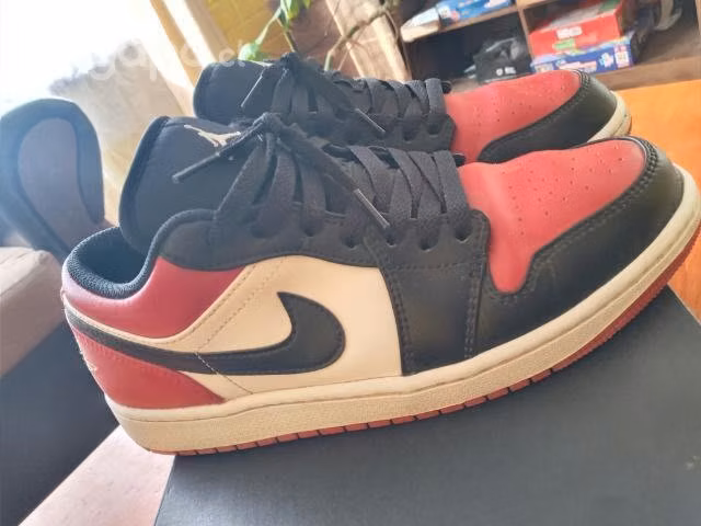 Jordan low 1 Toe Bred