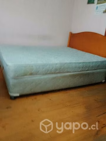 Cama termiflex - Imagen 2