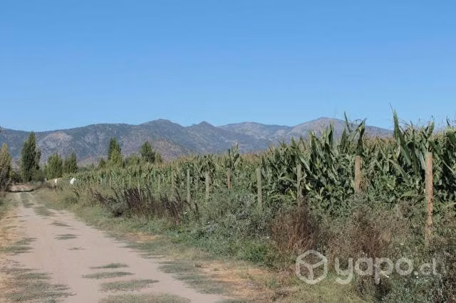 Parcela en el Huique