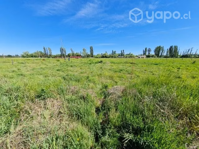 Parcela 5.000m²
