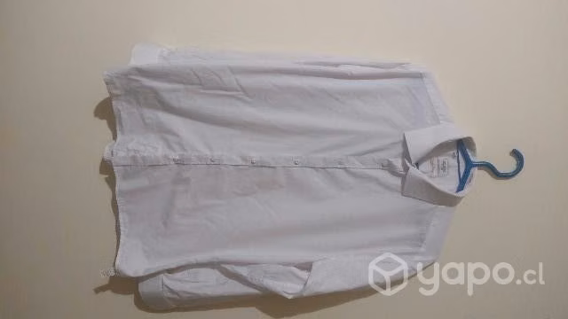 Lote de 6 camisas