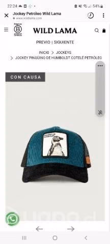 Jockey - Imagen 2
