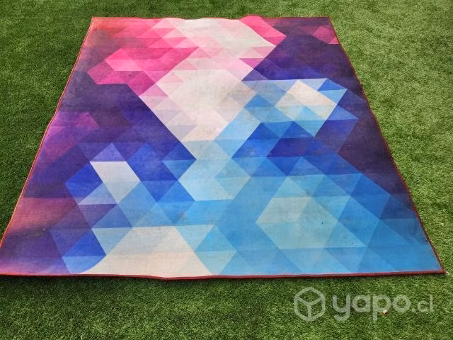 Alfombra Tokyo 200x220 usada