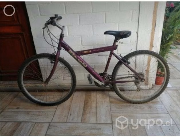 Bicicleta Bianchi Aro 26