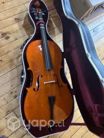 Violonchelo 4/4 de estudio