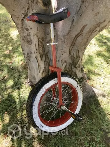 Monociclo Teliang