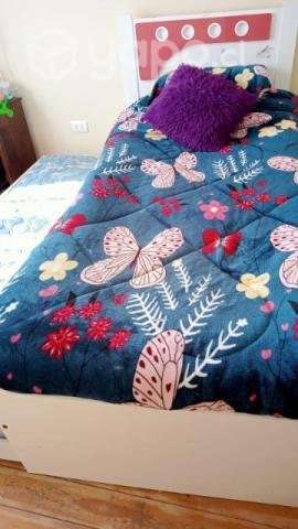 Cama nido de transicion - Imagen 4