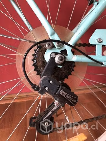 Bicicleta