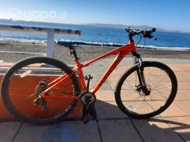 Bicicleta oxford merak aro 29 5