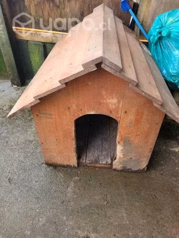 Casa perro