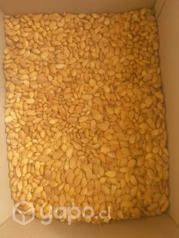 Almendras Por kilo y por pote