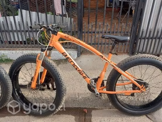 2 bicicletas playeras y para la nieve