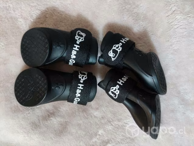 Zapatos para perro - Imagen 2