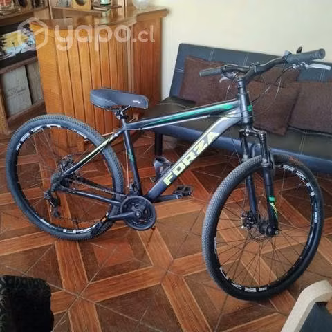 Bicicleta forza