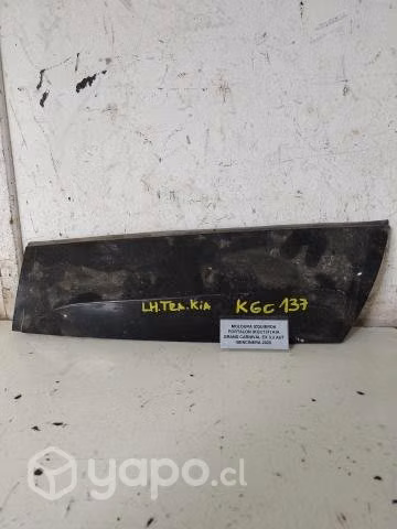 Moldura Izquierda Portalon (KGC137) Kia Grand Carn