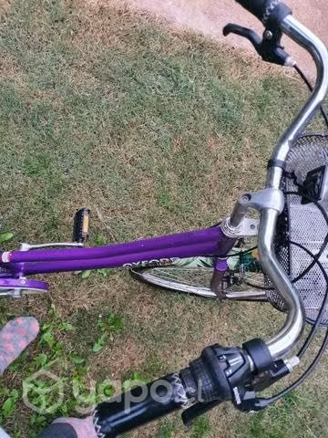 Bicicleta Oxford Mujer