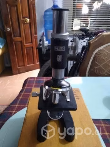 Microscopio Milben