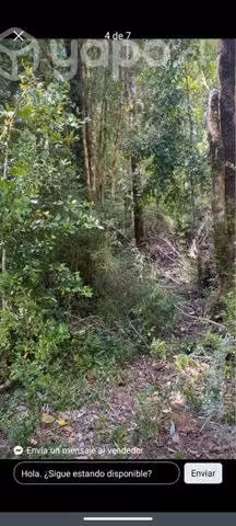 parcela