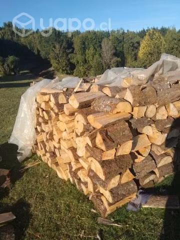Leña seca valdivia