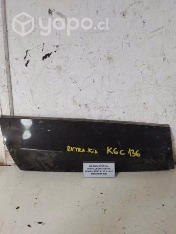 Moldura Derecha Portalon (KGC136) Kia Grand Carniv