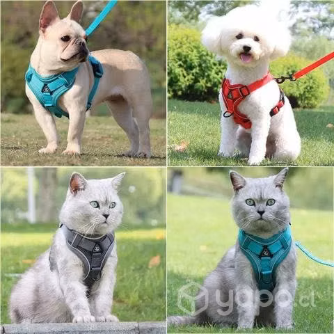 Arnés para perros