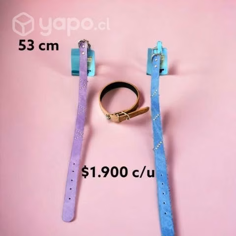 Collares para perros y gatos