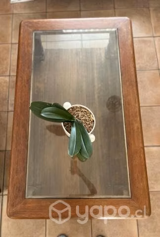 Mesa de Centro pino Oregón