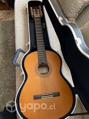 Guitarra Nueva - Imagen 2