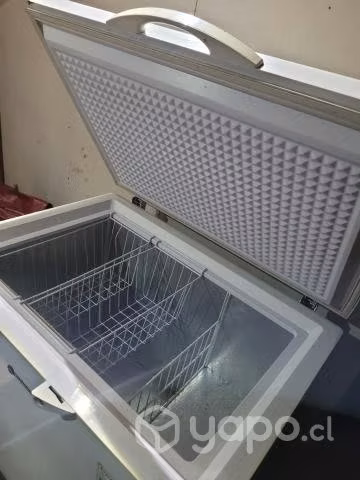 Conservadora 196 L