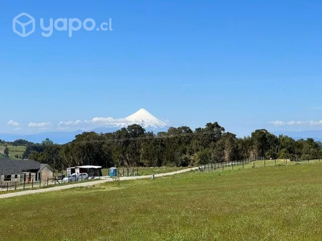 Los Ulmos de Molino Viejo, Pto. Varas