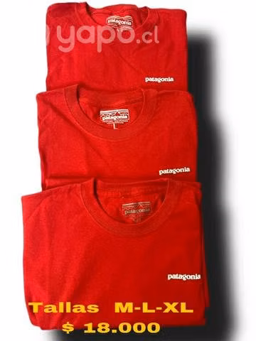 Poleras Patagónia