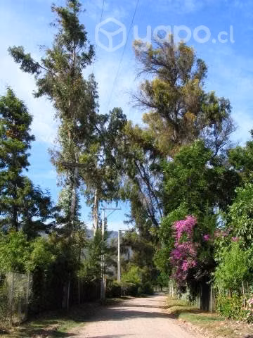 Parcela Isla de Maipo