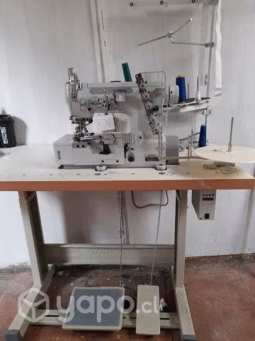 Maquina cocer industrial colletere typical