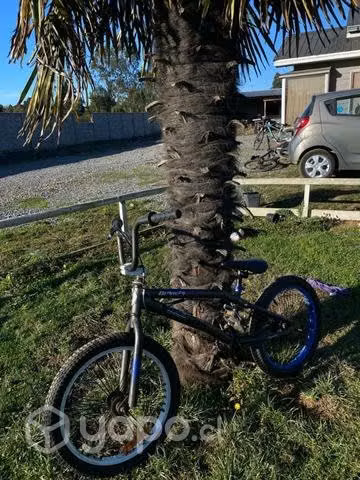 BMX bianchi