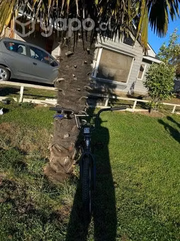 BMX bianchi