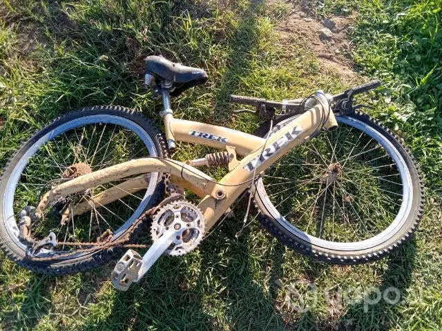 Trek amarilla