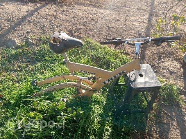 Trek amarilla - Imagen 5