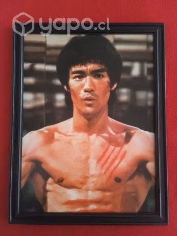 Cuadro de BRUCE LEE