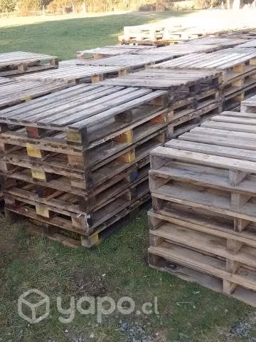 Pallet de madera
