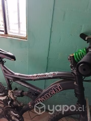 Bianchi - Imagen 2
