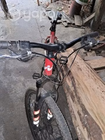 Bicicleta