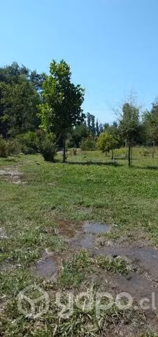 Parcela de agrado. Terreno