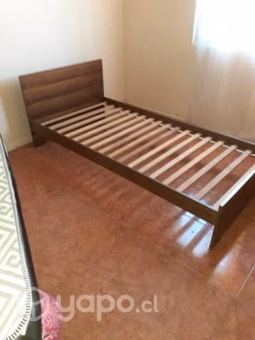 cama