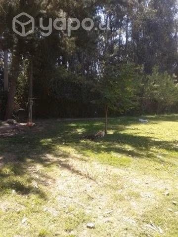 Parcela Agrado Lonquen Sur - Imagen 2