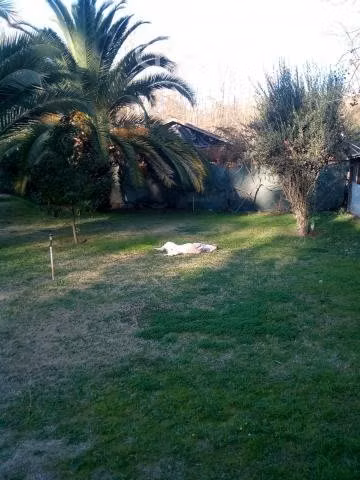 Parcela Agrado Lonquen Sur - Imagen 5