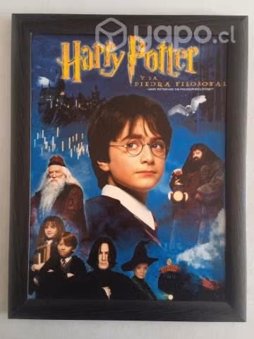 Cuadro de harry potter