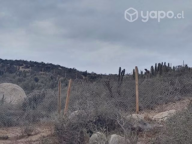 Parcela 5300 mts2